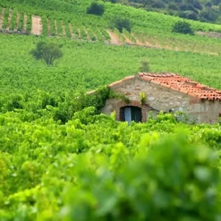 D'hotes Et Gites- L'abri Sous Roche B&B 3*